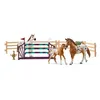 Image de Coffret Cheval Entraînement Appaloosa Schleich 42433