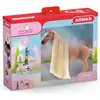 Image de Schleich Kit de Démarrage Kim & Caramelo