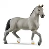 Image de 13956 Etalon selle français