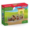 Image de Box avec Poney Icelandais - Extension Ferme Educative