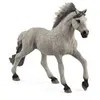 Image de 13915 Etalon mustang sorraia