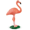 Image de Flamant rose