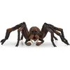 Image de Schleich Aragog