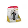 Image de 42633 Harry et hedwige figurines