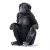 Image de 14875 - Wild Life Femelle Bonobo