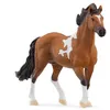 Image de 13978 Etalon mangalarga marchador