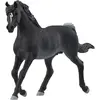 Image de Schleich Araber Hengst