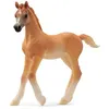 Image de 13984 Figurine Poulain arabe