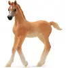 Image de Schleich Poulain arabe