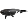 Image de Schleich Nordatlantischer Glattwal
