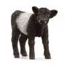 Image de 13969 - Schleich - Veau galloway