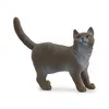 Image de 13973 Figurine Chat British shorthair - Schleich