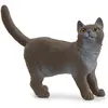 Image de Schleich Chat britannique à poil court