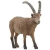 Image de Bouquetin - Schleich