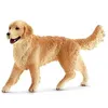 Image de 16395 Golden Retriever femelle