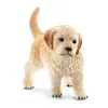Image de 16396 Chiot golden retriever