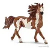 Image de 13794 Etalon Pinto