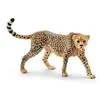 Image de Wild Life - Guépard femelle
