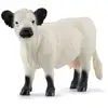 Image de Vache Galloway - Schleich