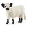 Image de 13960 Figurine Vache galloway