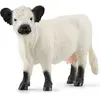 Image de Schleich Vache Galloway