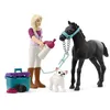 Image de Figurine Mini Monde   Sofia soigne son poulain