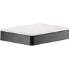 Image de Axor, Dérouleur de papier toilette, Universal Accessories shelf 150 mm