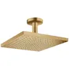 Image de hansgrohe, Pommeau de douche, Raindance E 300 Air 1 jet avec raccordement au plafond : Colour - Brushed Bronze (1 Type de jet, 19 l/min)