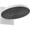 Image de hansgrohe, Pommeau de douche, 24151700 (2 Types de jets, 9 l/min)