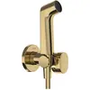 Image de hansgrohe, Robinet de bidet, Bidette Douchette à main 1jet S EcoSmart pour eau chaude avec support de douche et flexibles de