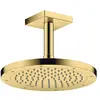 Image de Axor, Pommeau de douche, ShowerSolutions Pomme de douche 245 1 jet économie d'eau+, 35389 (1 Type de jet, 5.20 l/min)