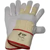 Image de Nitras, Gants de protection, APOLLO, gants en cuir vachette, dos en coton, naturel, cuir vachette, gris (code couleur : (11)