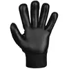 Image de Reusch Gants De Gardien De But Attrakt Starter Solid Finger Support