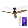 Image de Klarstein Santa Elena Ventilateur de plafond 52 9.060m³/h Pales en bois véritable 6 vites