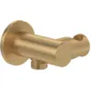 Image de Support mural pour douchette avec raccordement VILLEROY ET BOCH Universal Showers rond or brossé