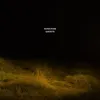 Image de Ghosts Vinyle album