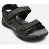 Image de Arlo 02 par Josef Seibel Gris 46 Homme