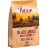 Image de Adult Black angus, dinde