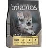 Image de Testez-les ! Croquettes Briantos 1 kg pour chien - Junior poulet, pommes de terre - SANS CÉRÉALES