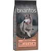 Image de 12kg Briantos Senior dinde, pommes de terre SANS CÉRÉALES - Croquettes pour chien