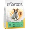 Image de Briantos Adult Mini agneau, riz pour chien - 1 kg