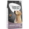 Image de 12kg Labrador Sterilised Concept for Life - Croquettes pour chien