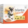 Image de Briantos Delicious Paté 12 x 100 g pour chien - poulet
