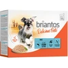 Image de Briantos Delicious Paté 12 x 100 g pour chien - saumon