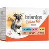 Image de Briantos Delicious Paté 12 x 100 g pour chien - lot mixte : poulet, boeuf, saumon