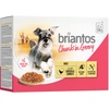 Image de Briantos Bouchées en sauce 12 x 100 g pour chien - poulet, carottes