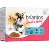 Image de Briantos Bouchées en sauce 12 x 100 g pour chien - saumon, carottes