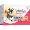 Image de Briantos Bouchées en sauce 12 x 100 g pour chien - lot mixte (poulet, boeuf, saumon)