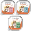 Image de Briantos Delicious Paté 9 x 300 g pour chien   lot mixte : poisson, agneau, boeuf