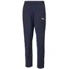 Image de Puma Pantalon Teamrise Sideline